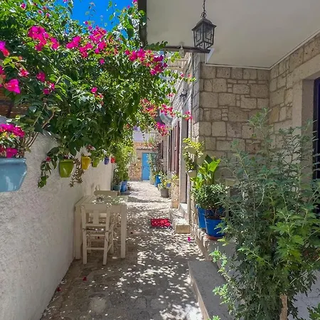 Bed & Breakfast Alayaz 3*