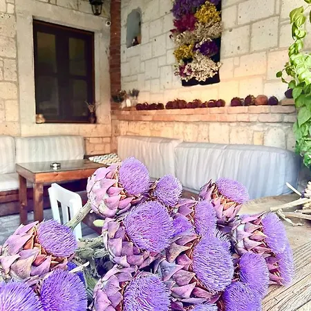 Alayaz Bed & Breakfast 3*