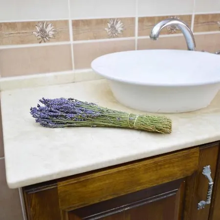 לינה וארוחת בוקר Alayaz