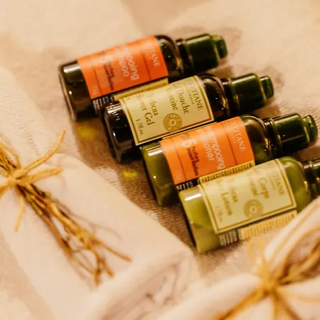 Alayaz אלאקאטי