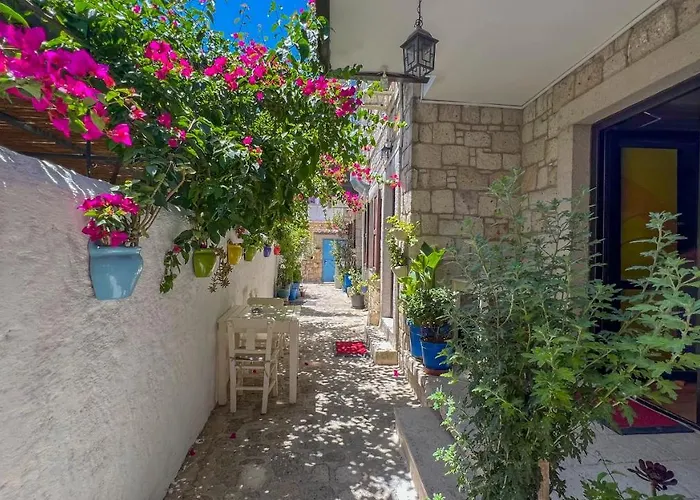 Couette-café Alayaz 3*