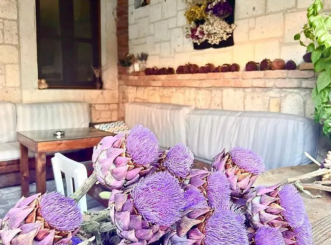 Alayaz Couette-café 3*